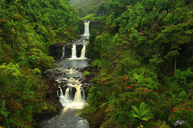 H040 Umauma Falls, Big Island, Hawaii print