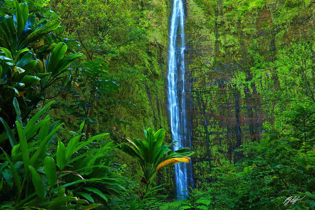 H045 Makahiku Falls, Maui, Hawaii print