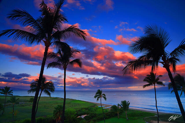 H053 Sunset and Palm Trees, Kihei, Maui print