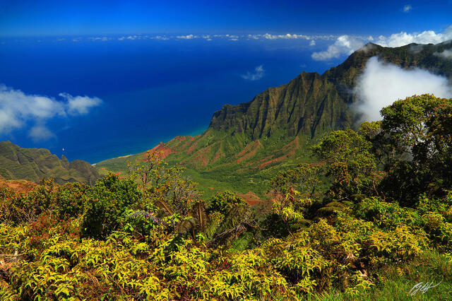 H032 Napali Cliffs, Kauai, Hawaii print