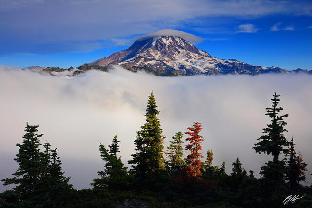 M166 Mt Rainier Above the Clouds, Washington  print
