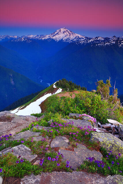 M175 Sunset Glacier Peak from Green Mountain, Washington print