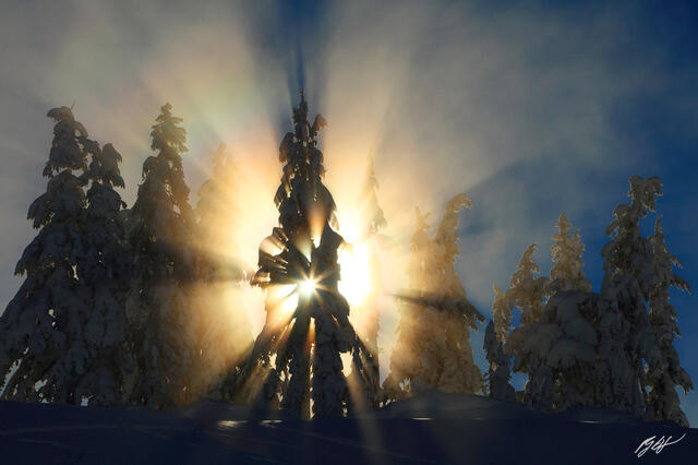 M234 Sun Explosion through Frozen Alpine Trees, Washington print