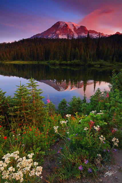 M239 Sunrise Mt Rainier and Reflection Lakes, Washington print