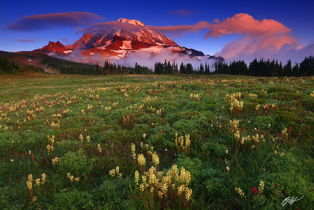 M424 Sunset Wildflowers and Mt Rainier, Washington  print