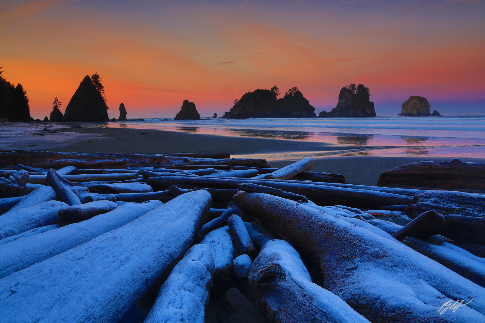 Sunrise and Frozen Logs on a cold winter day from Shi Shi Beach in Olympic National Park in Washington
