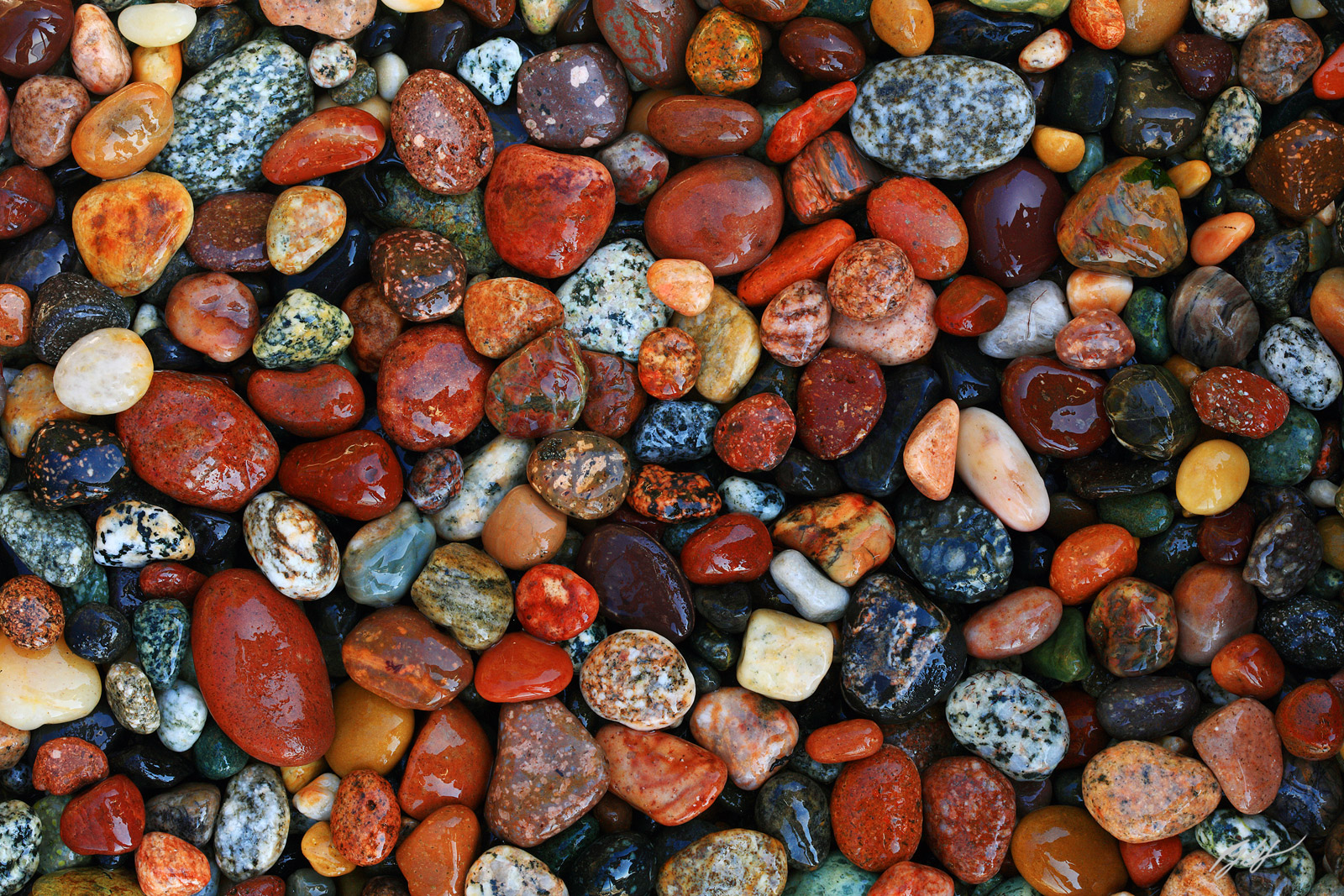 Colorful Rocks on a Beach in Washington Park in Anacortes Washington