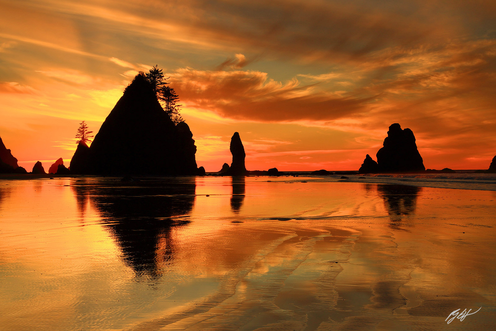 Sunset and Sea Stacks on with the Point of the Arches from Shi Shi Beach in Olympic National Park in Washington