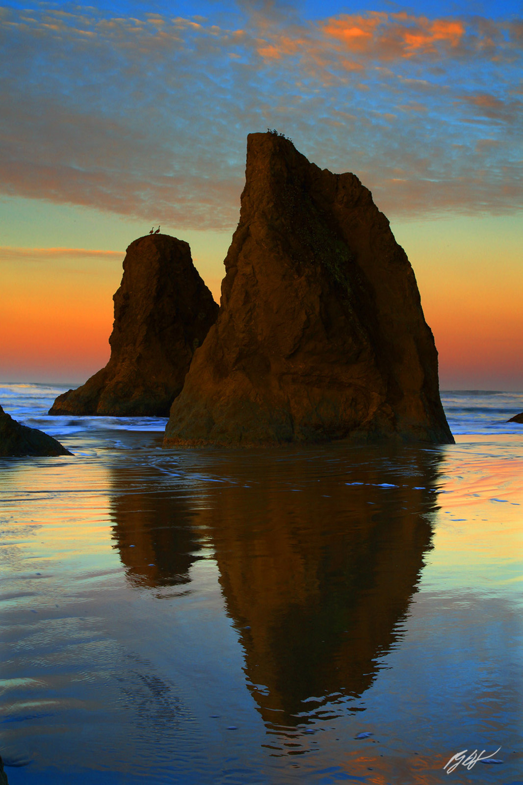 Sunrise with Geese on Sea Stacks from Face Rock Beach in Bandon on the Southern Oregon Coast