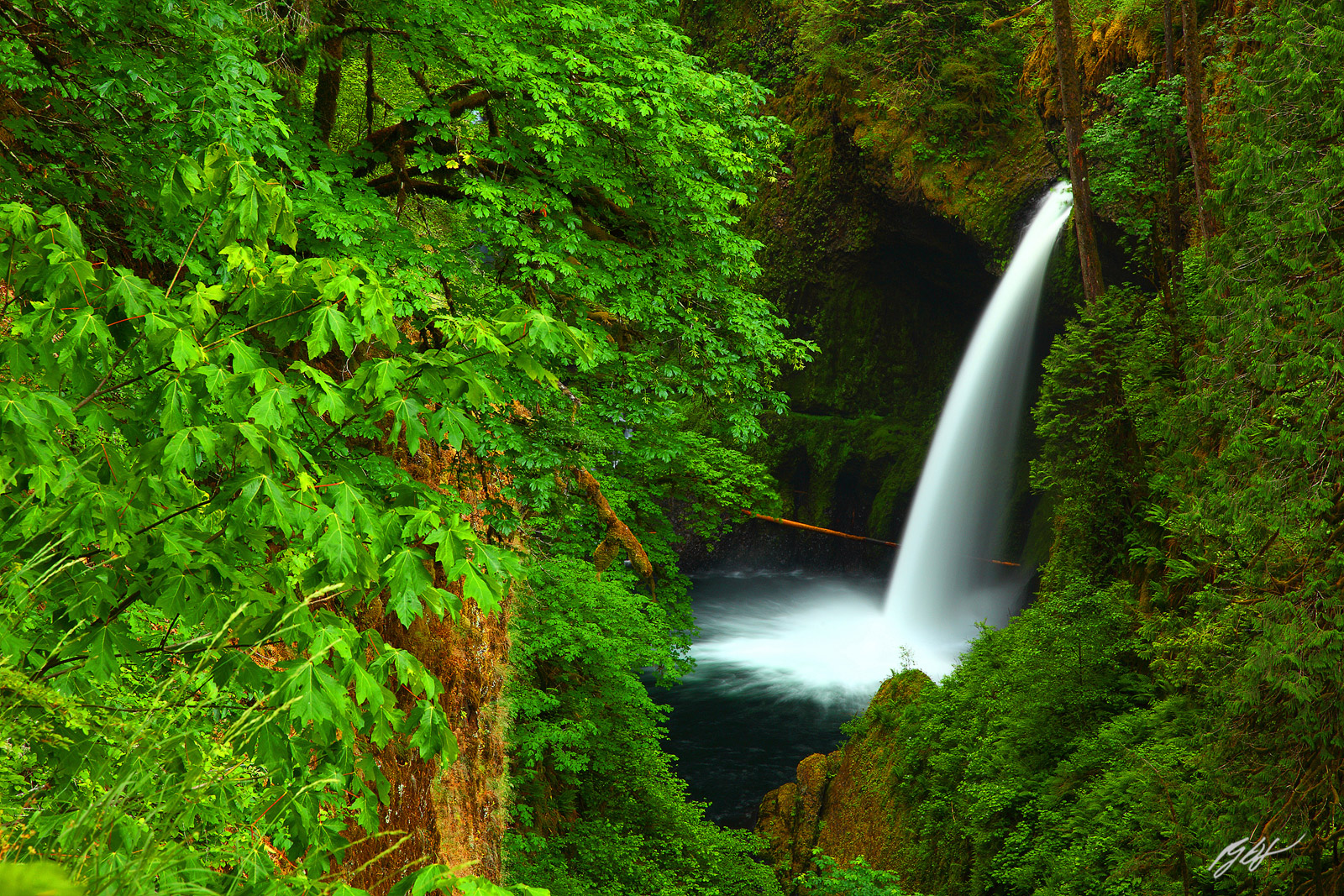 Metlako Falls in Eagle Creek Gorge in the Columbia River Gorge in Oregon