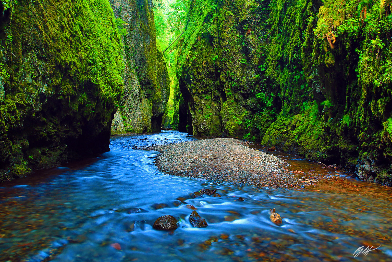 Oneonta Gorge in the Columbia River Gorge National Scenic Area in Oregon