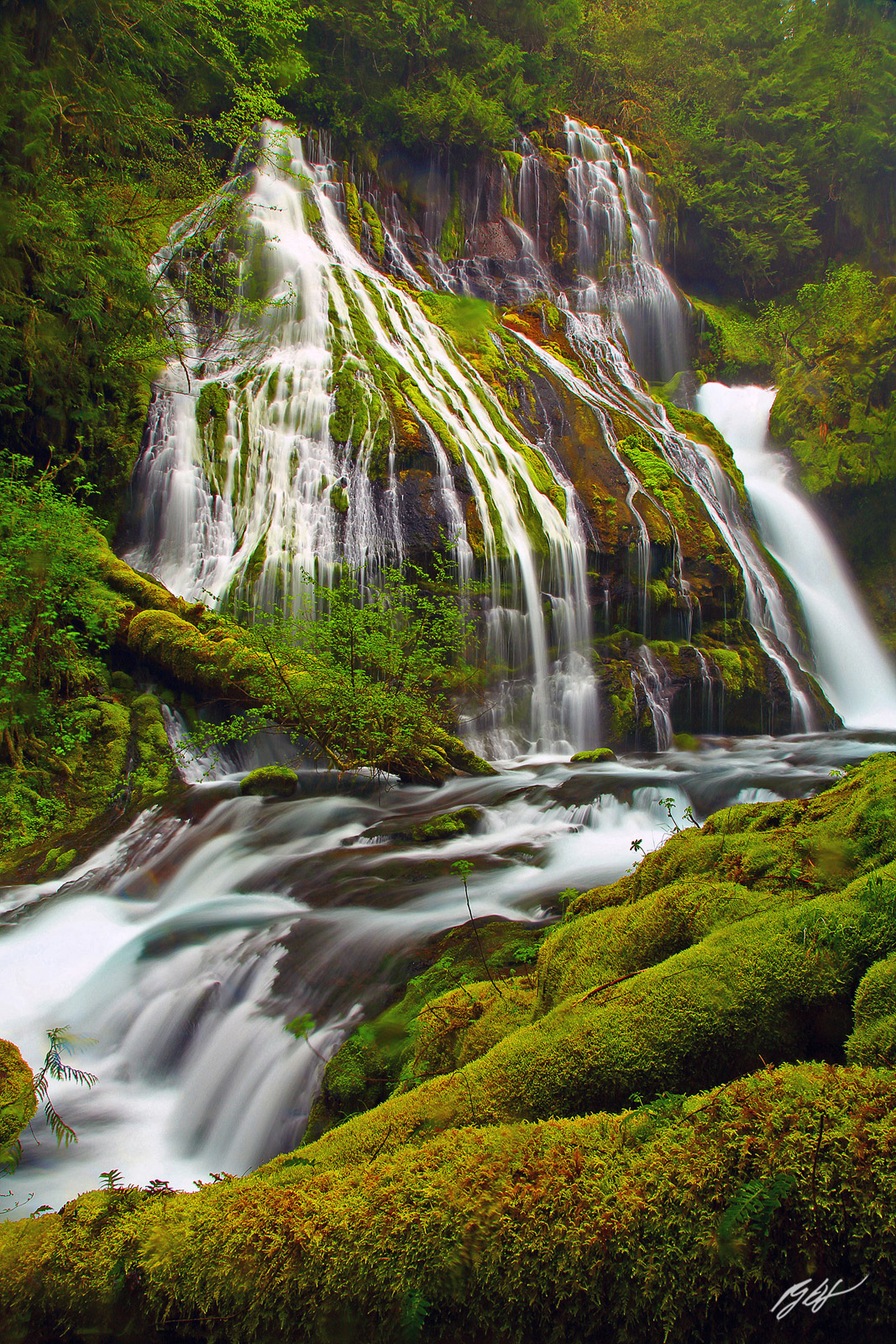 Panther Creek Falls in the Gifford-Pichot National Forest in Washington
