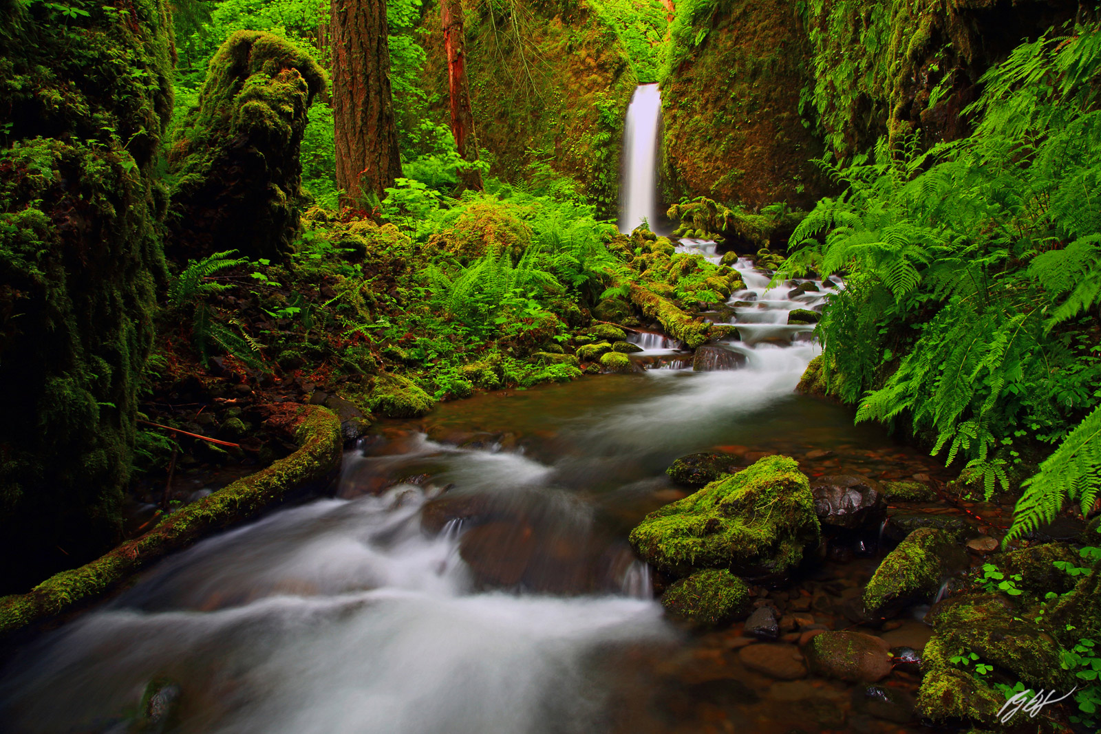 Fairyland Falls, or Mossy Grotto Falls in the Columbia River Gorge in Oregon
