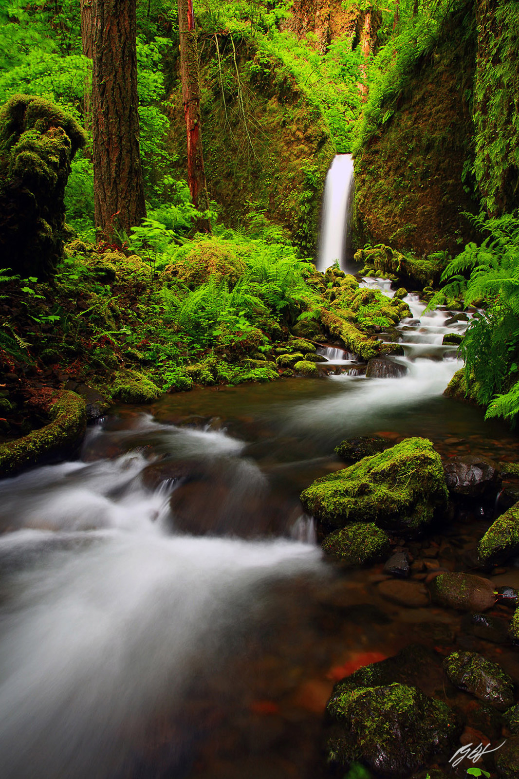 Fairyland Falls, or Mossy Grotto Falls in the Columbia River Gorge in Oregon