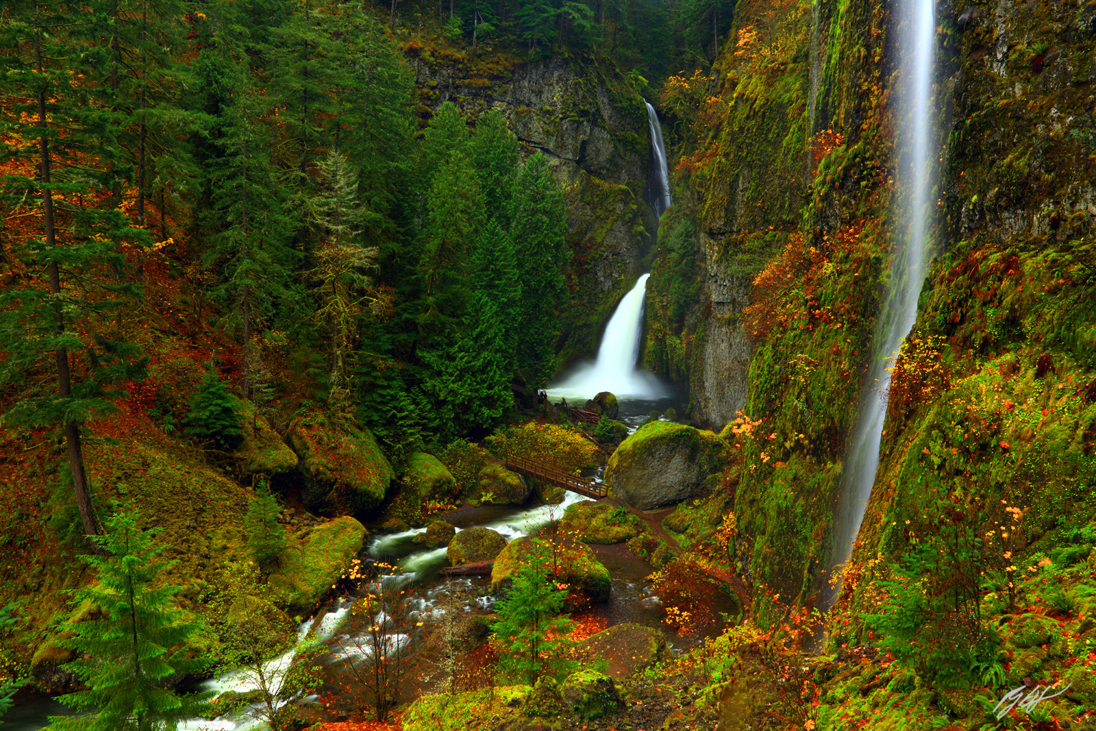 Wahclella Falls in the Columbia River Gorge National Scenic Area in Oregon