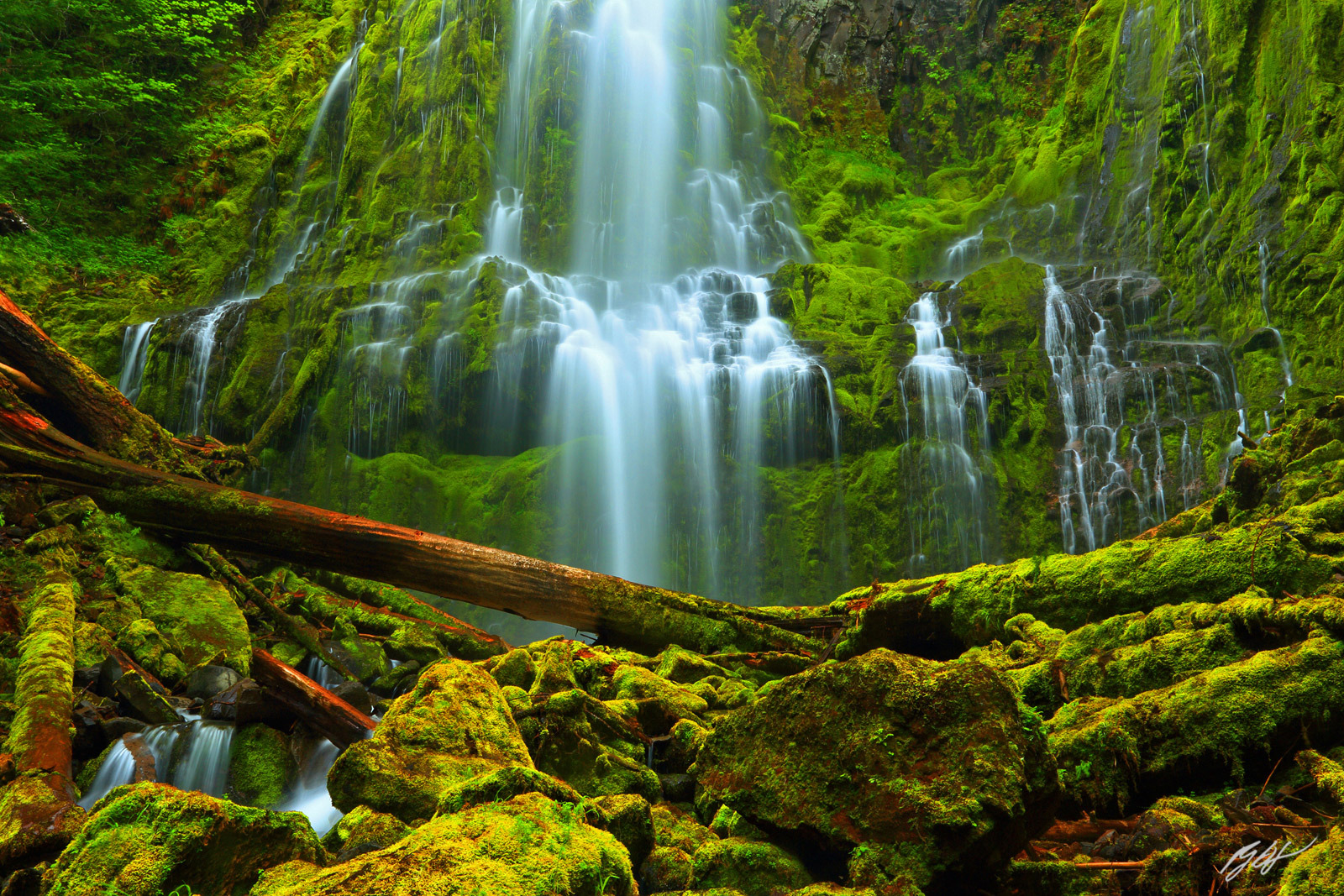 Proxy Falls in the Willamette National Forest in Oregon