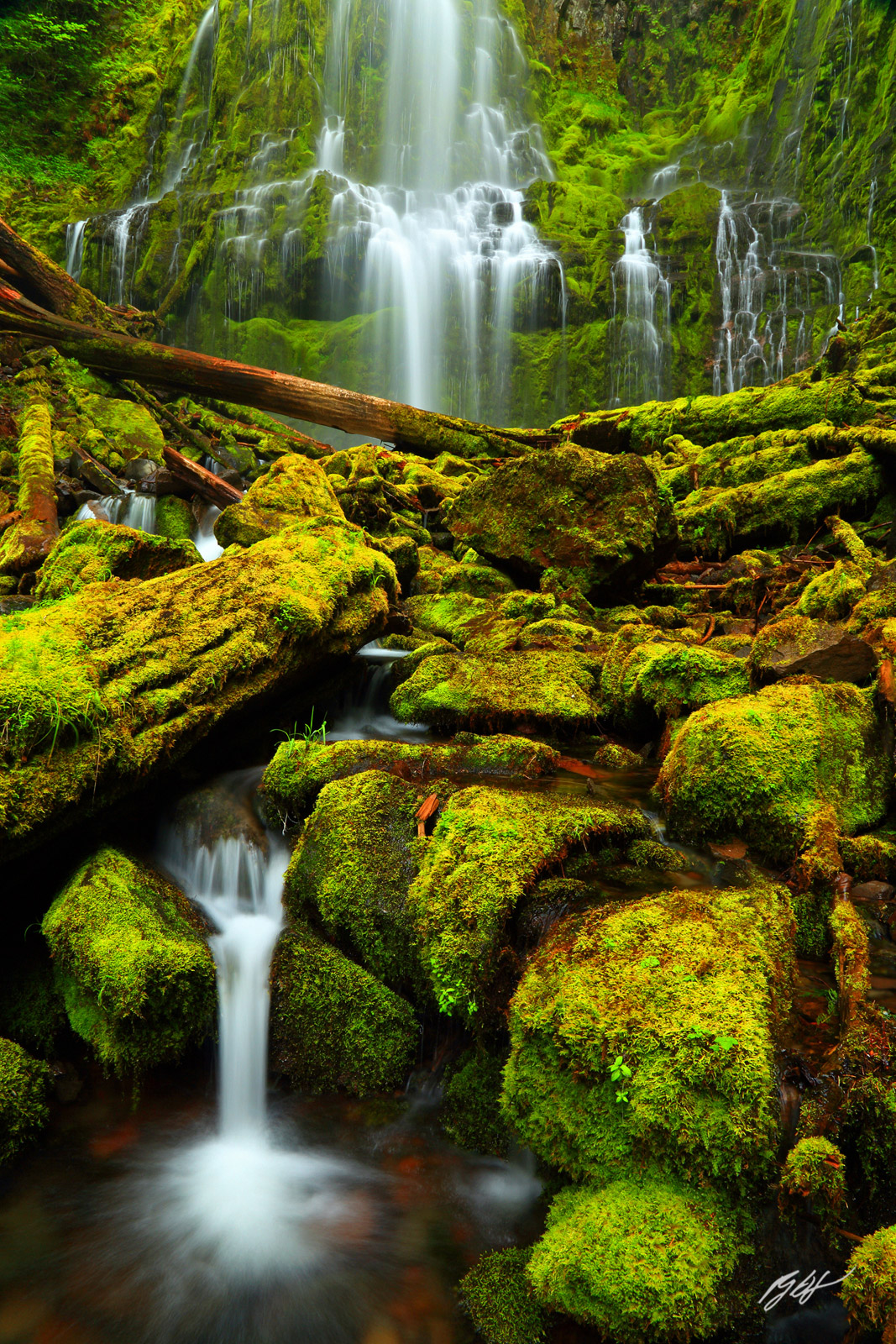 Mossy Scene and Proxy Falls in the Willamette National Forest in Oregon