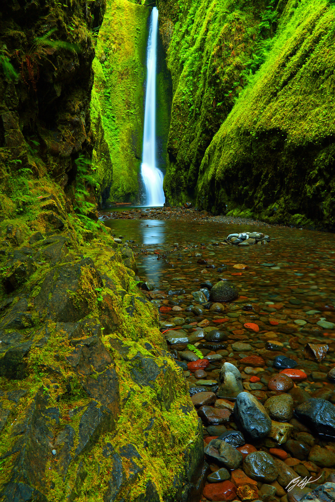 Oneonta Falls in Oneonta Gorge in the Columbia River Gorge National Scenic Area in Oregon