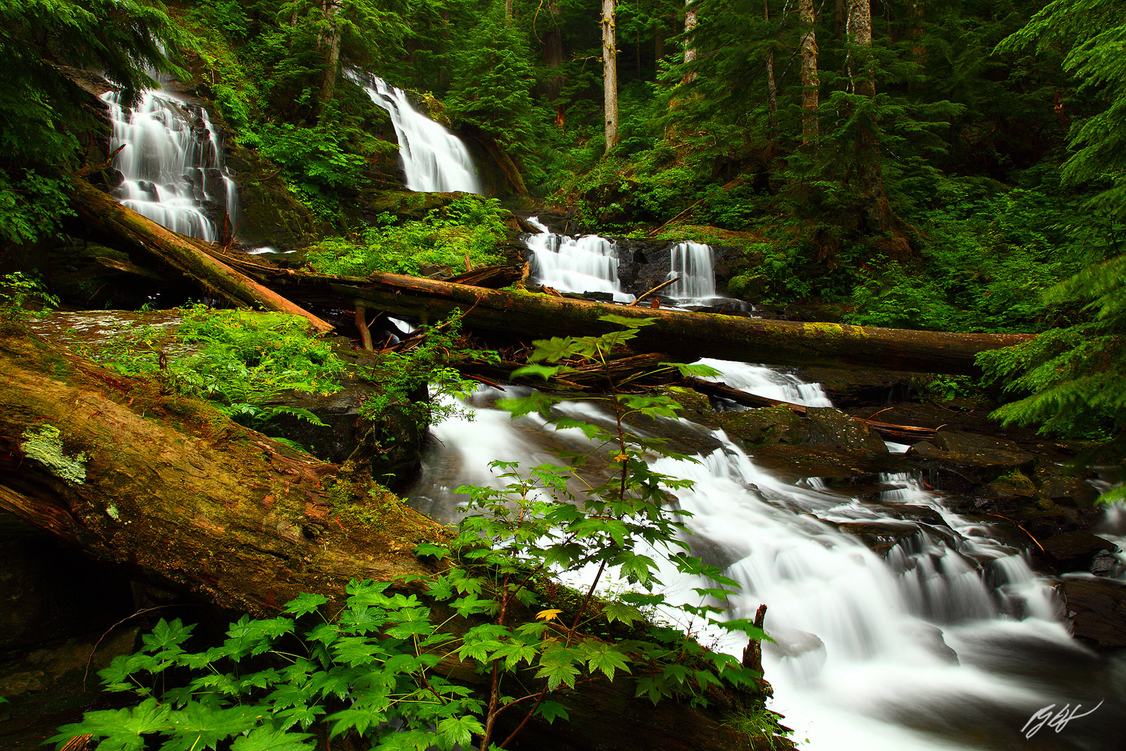 Twenty-Two Creek Falls Along the Lake Twenty-Two Trail in the Mt Baker-Snoqualmie National Forest in Washington