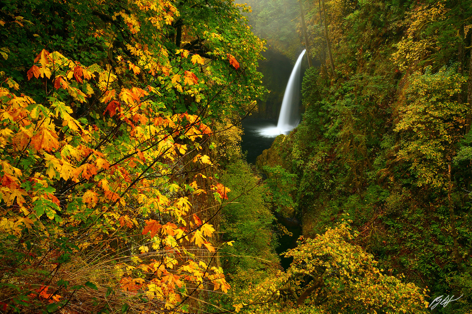 Metlako Falls in Fall in the Eagle Creek Gorge in the Columbia River Gorge in Oregon