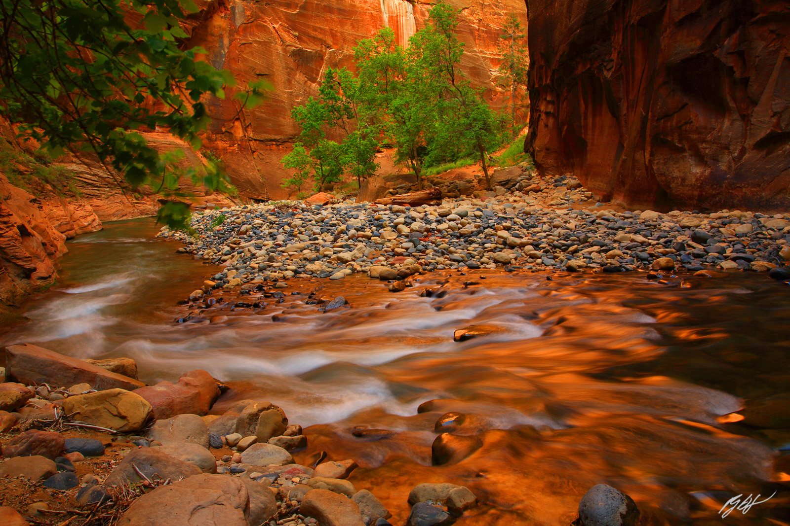 Reflected Glow on the Virgin River in the Narrows in Zion National Park in Washington