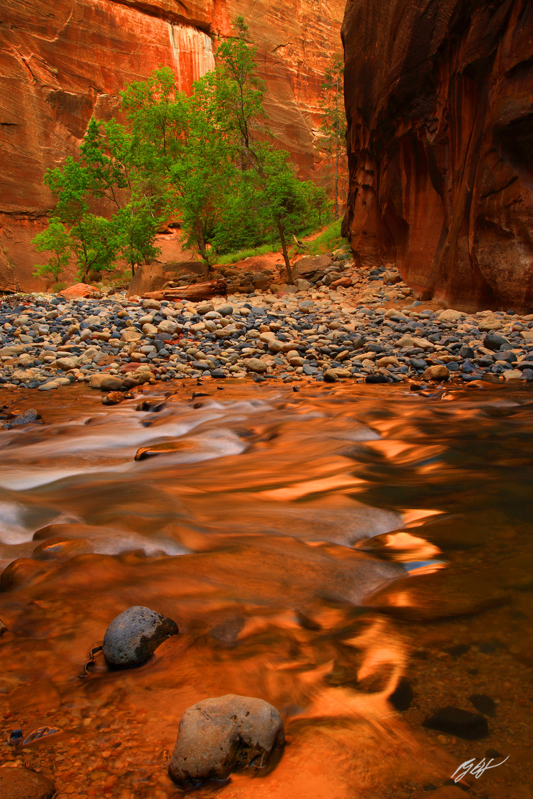 Reflected Glow on the Virgin River in the Narrows in Zion National Park in Utah