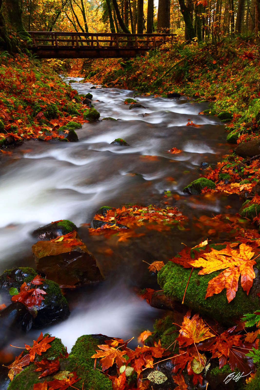 Fall Along Gorton Creek and Hiking Bridge the Columbia River Gorge National Scenic Area in Oregon