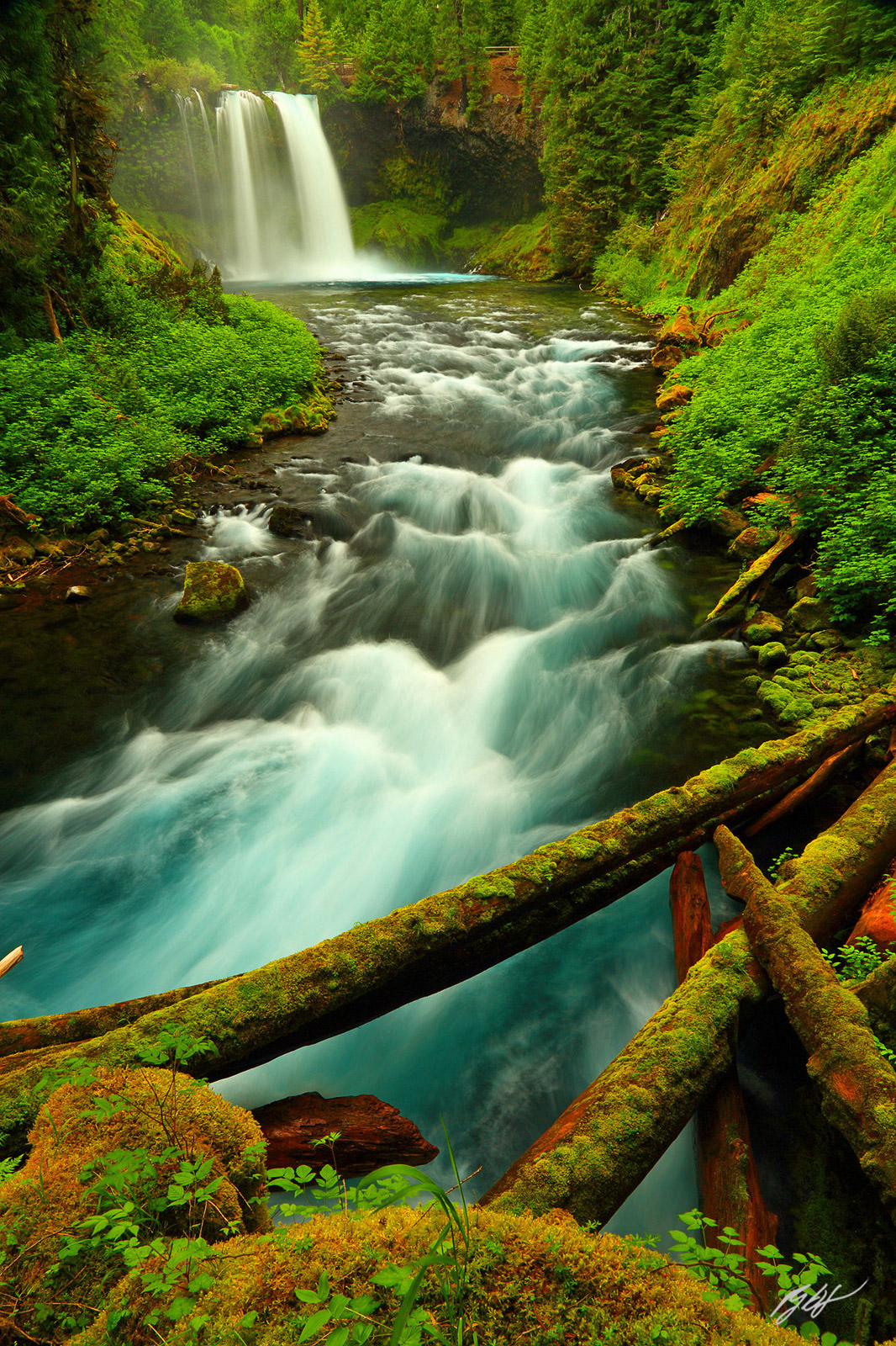 Koosah Falls on the McKenzie River in the Willamette National Forest in Oregon
