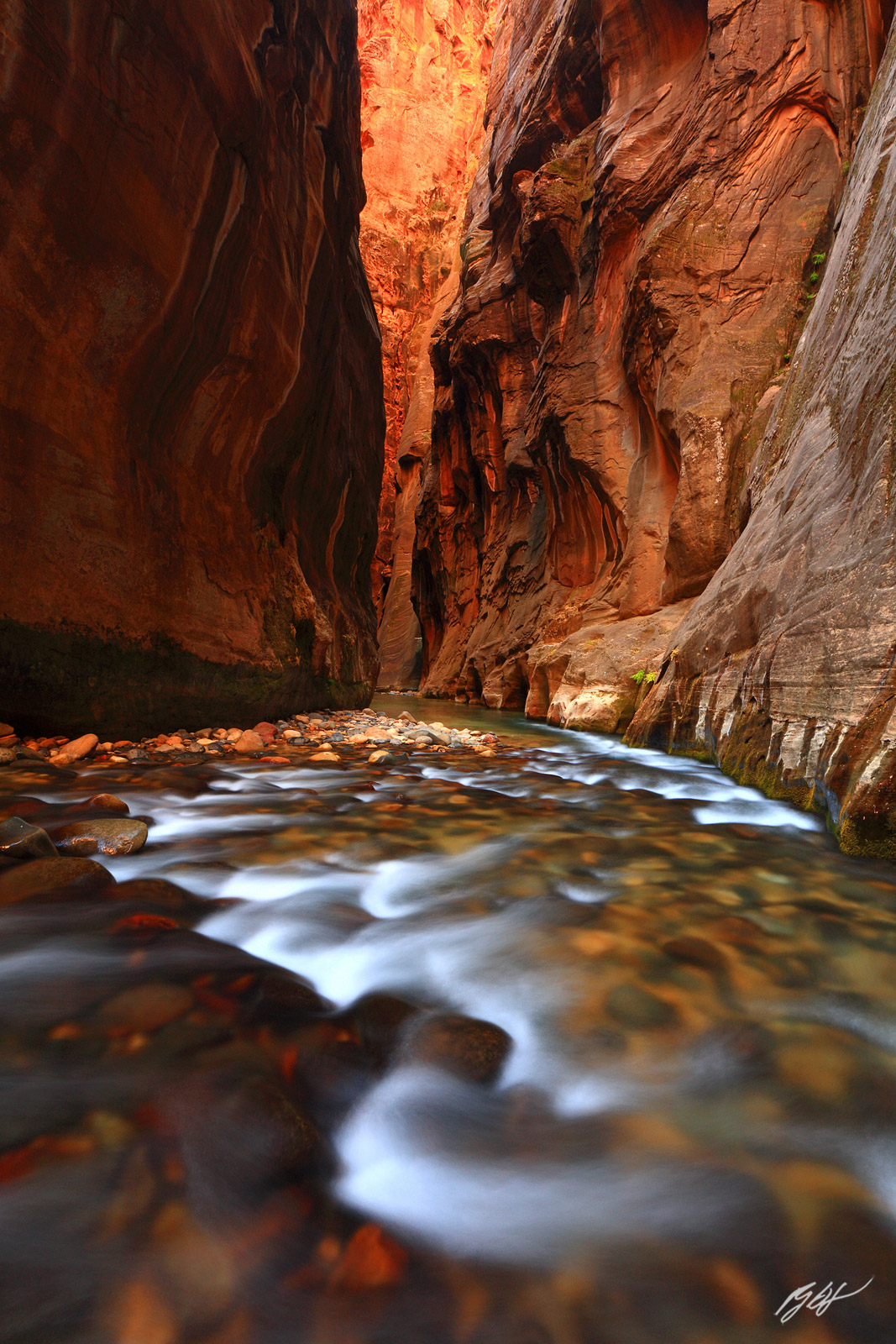 The Virgin River Running Through the Narrows in Zion National Park in Utah