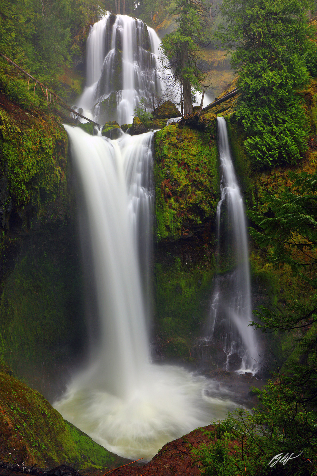 Thundering Falls Creek Falls in the Gifford Pinchot National Forest in Southern Washington