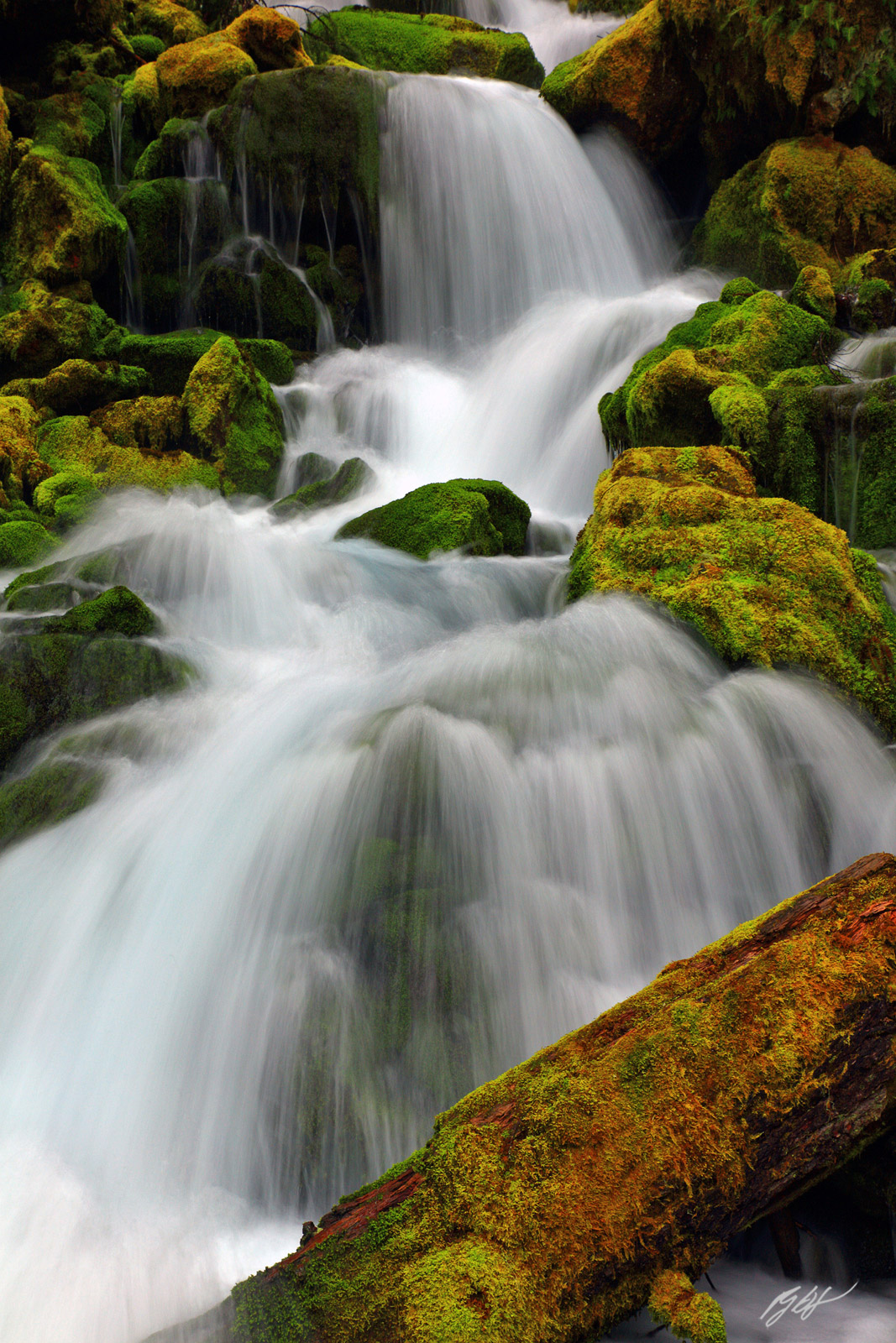 A Magic Secret Waterfall in the Gifford Pinchot National Forest in Southern Washington