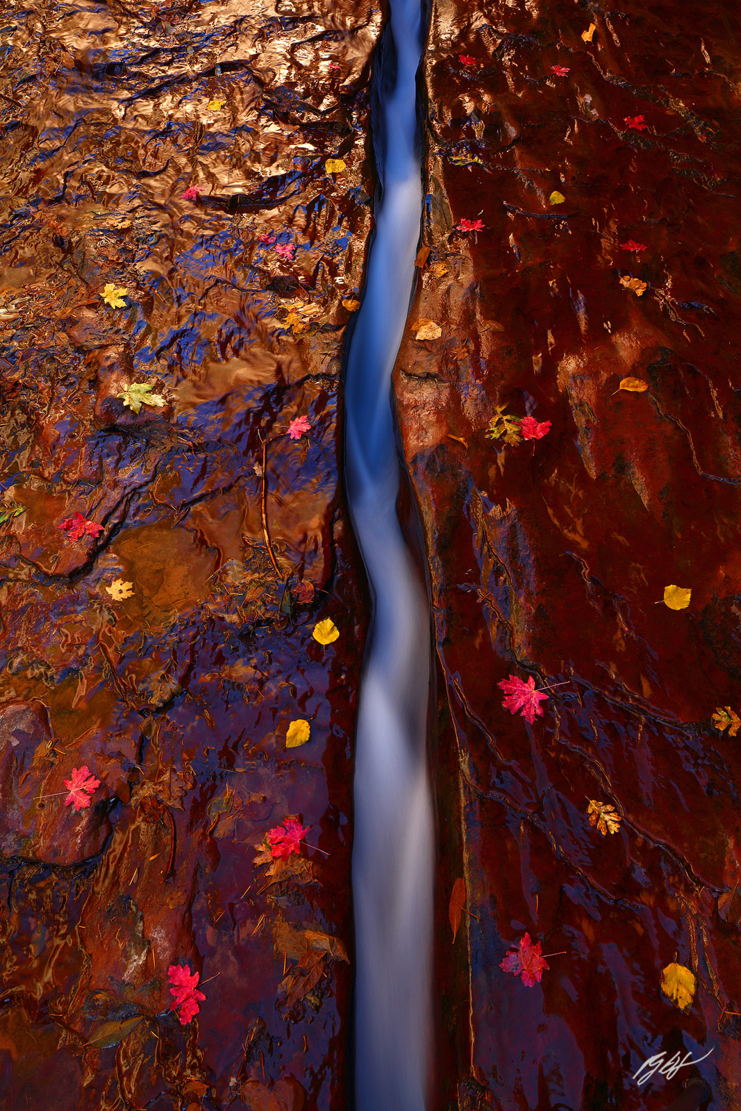 Left Fork North Creek as it Runs Through "The Crack" near the Subway in Zion National Park in Utah