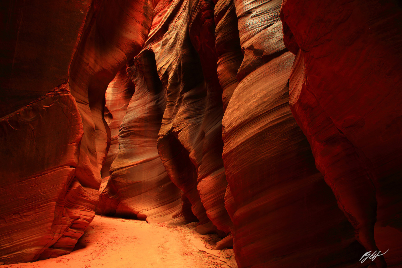 Deep in Buckskin Gulch, one of the longest and tallest slot canyons in the world, in the Vermillion Cliffs Wilderness in Utah