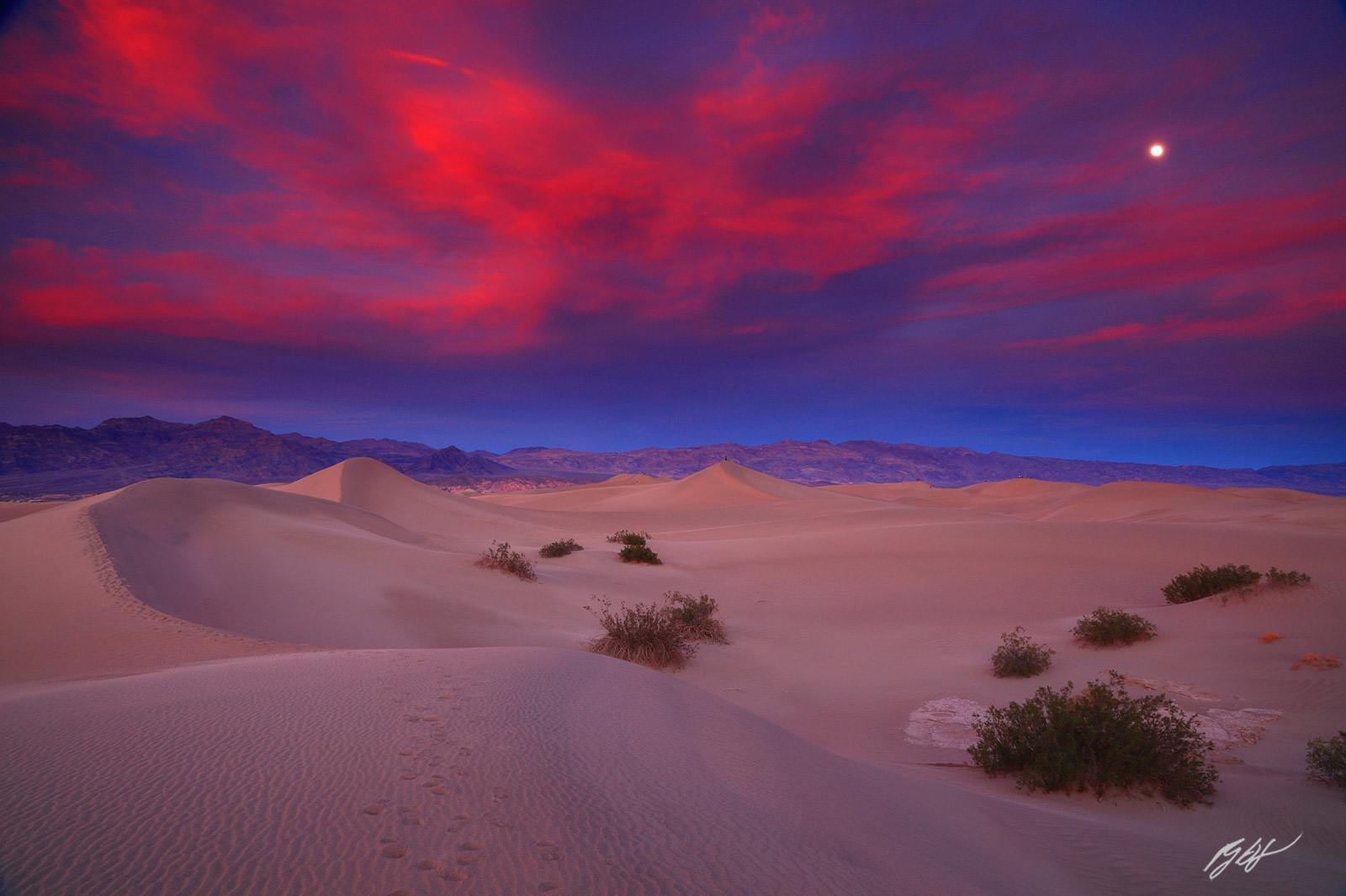 Sunset and Moon over the Mesquite Sand Dunes in Death Valley National Park in California