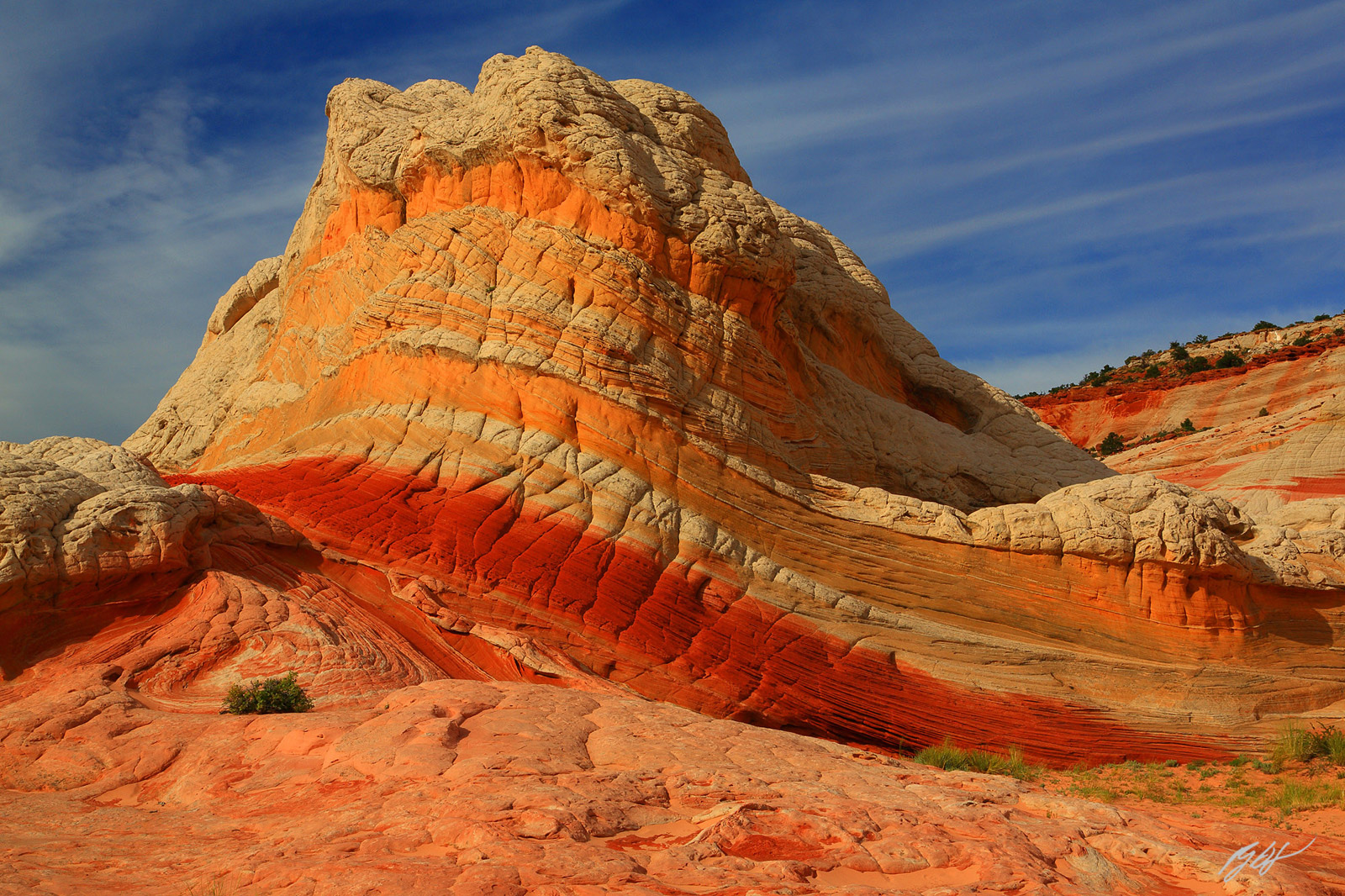 Morning Light on the White Pocket Formations in the Vermillion Cliffs Wilderness in Arizona