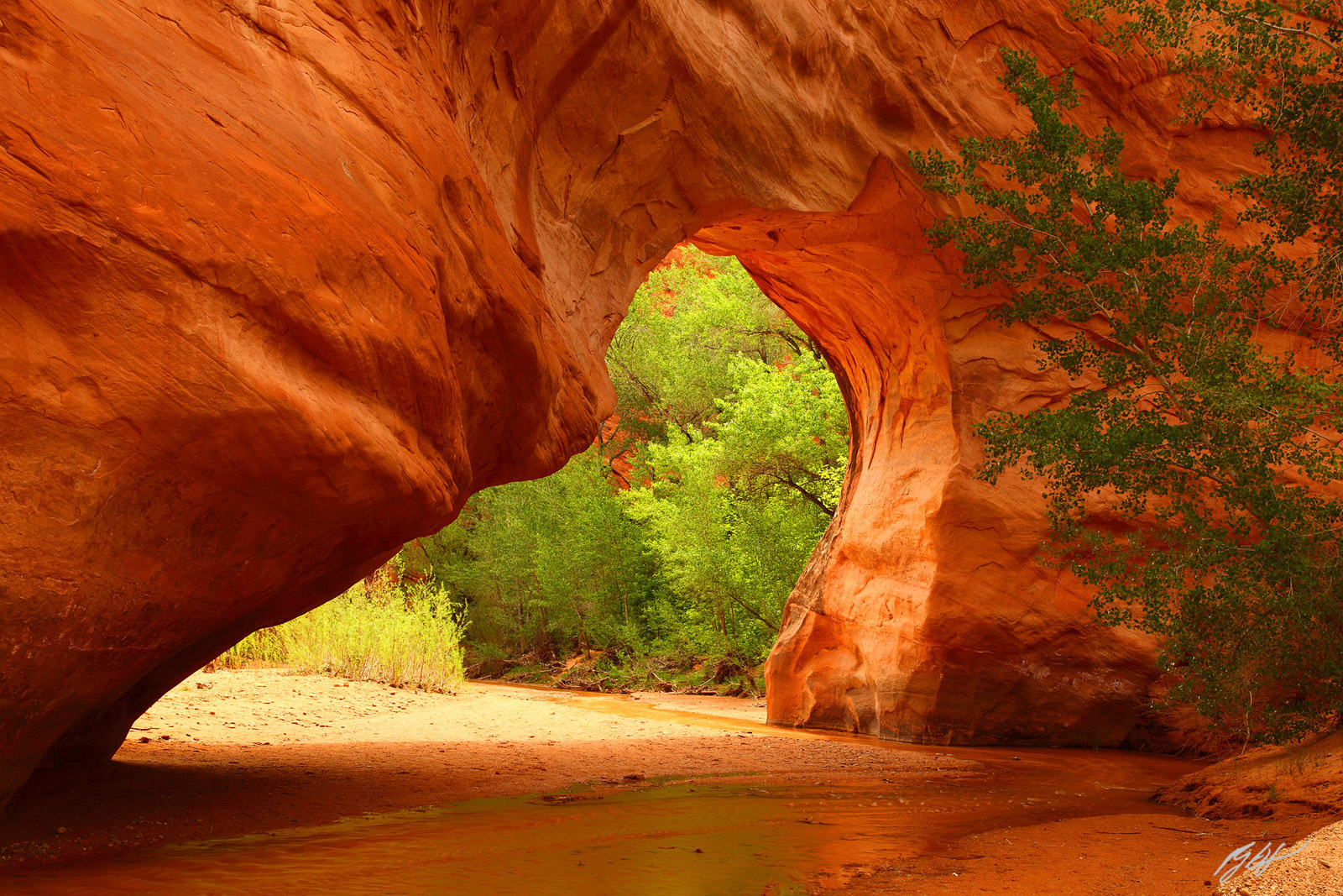 Coyote Natural Bridge in Coyote Gulch in the Grand Staircase-Escalante National Monument in Utah
