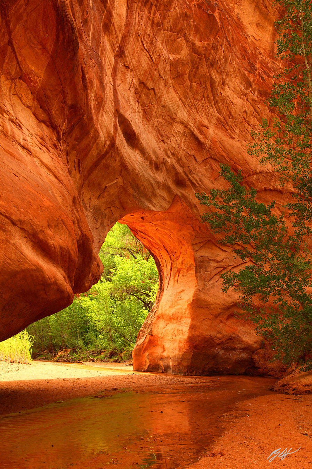 Coyote Natural Bridge in Coyote Gulch in the Grand Staircase-Escalante National Monument in Utah