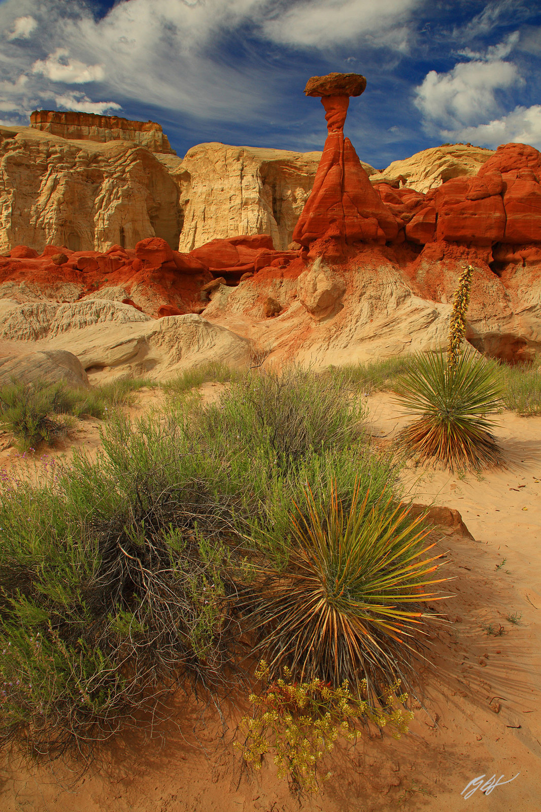 Rim Rock Toadstool Hoodoos in the Vermillion Cliffs area of Grand Staircase-Escalante National Monument in Utah