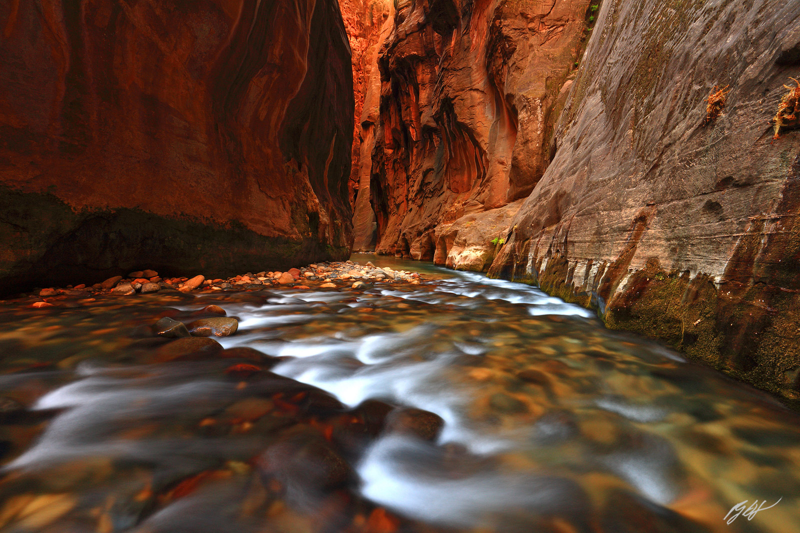 The Virgin River as it flows through The Narrows in Zion National Park in Utah