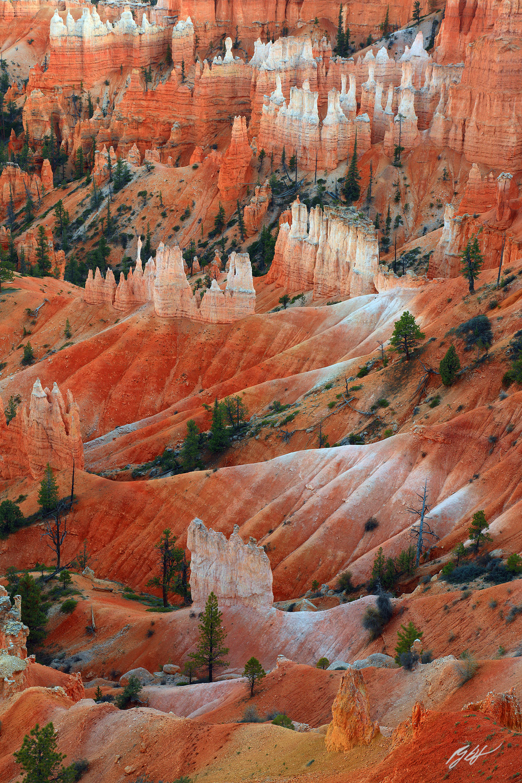 Hoodoo Formations in Bryce Canyon National Park in Utah