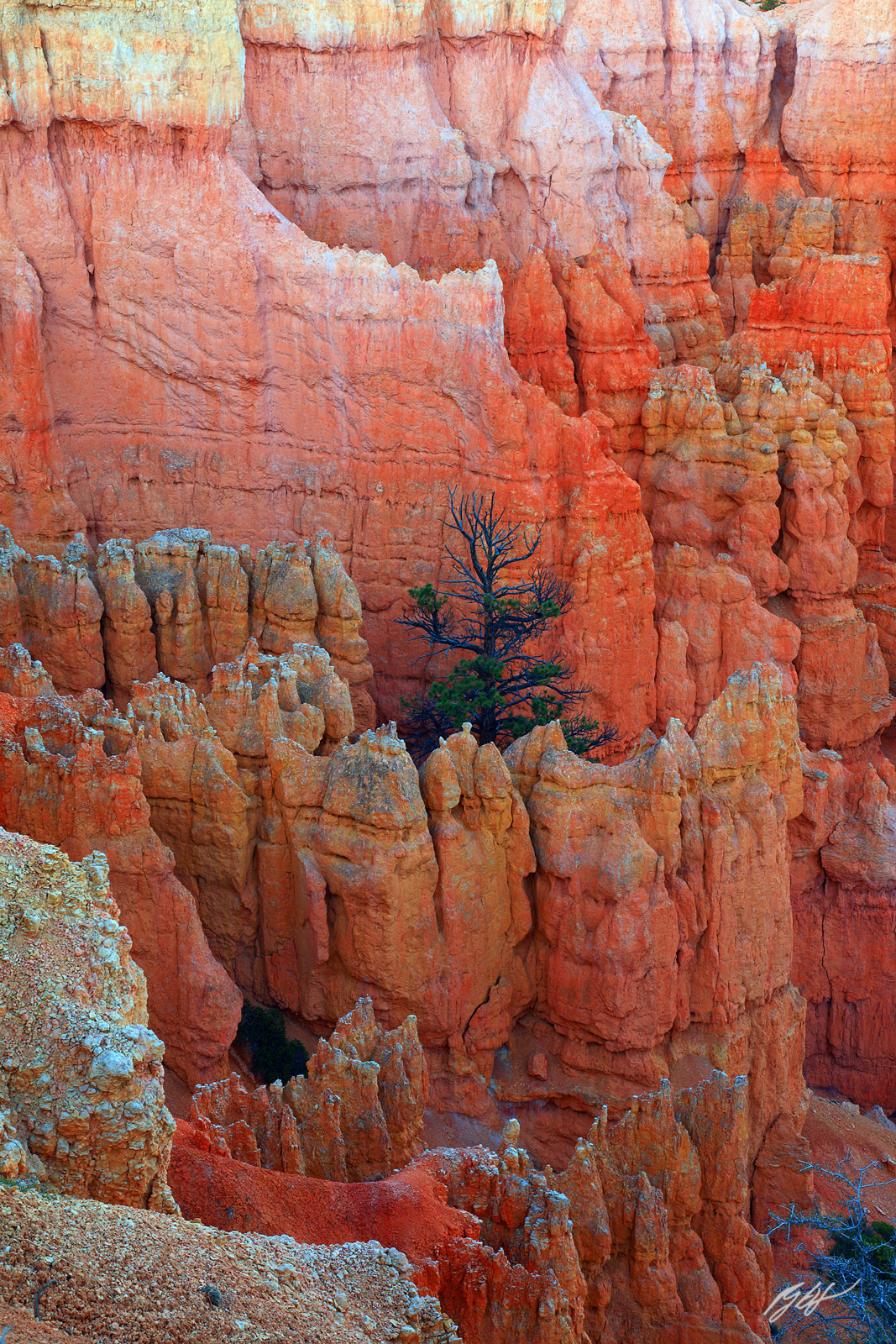 Hoodoo Formations from the Rim of Bryce Canyon in Bryce Canyon National Park in Utah