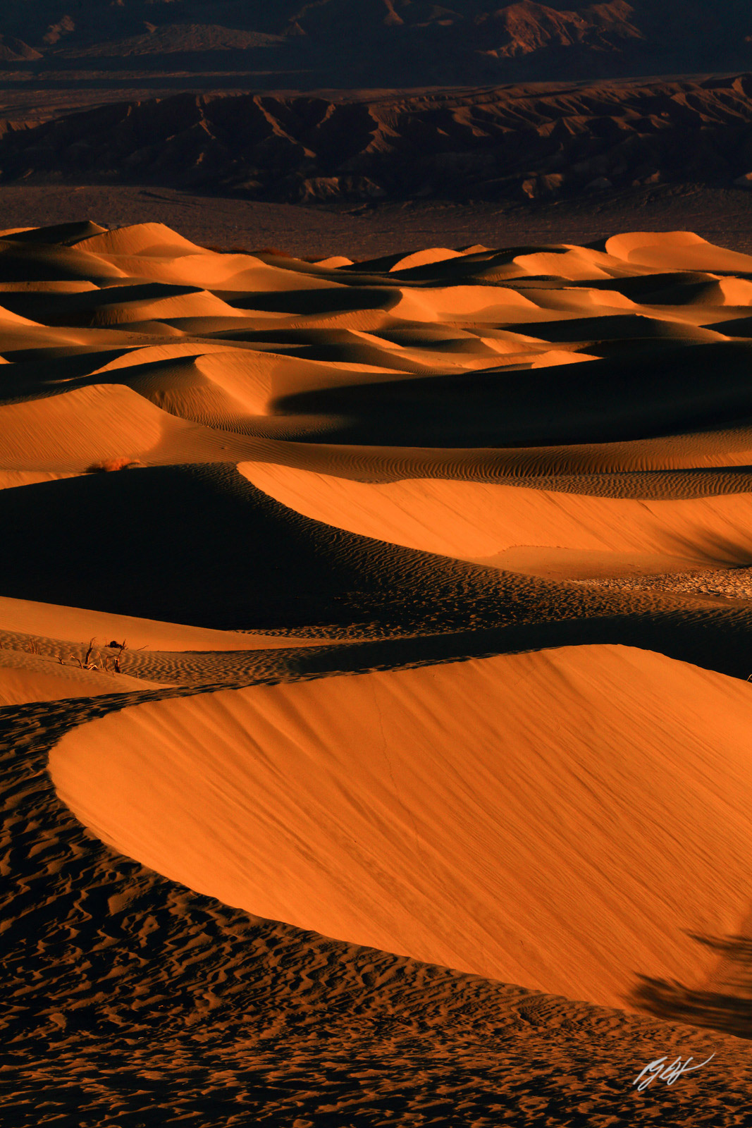 First Light on the Mesquite Sand Dunes near Stove Pipe Wells in Death Valley National Park in California