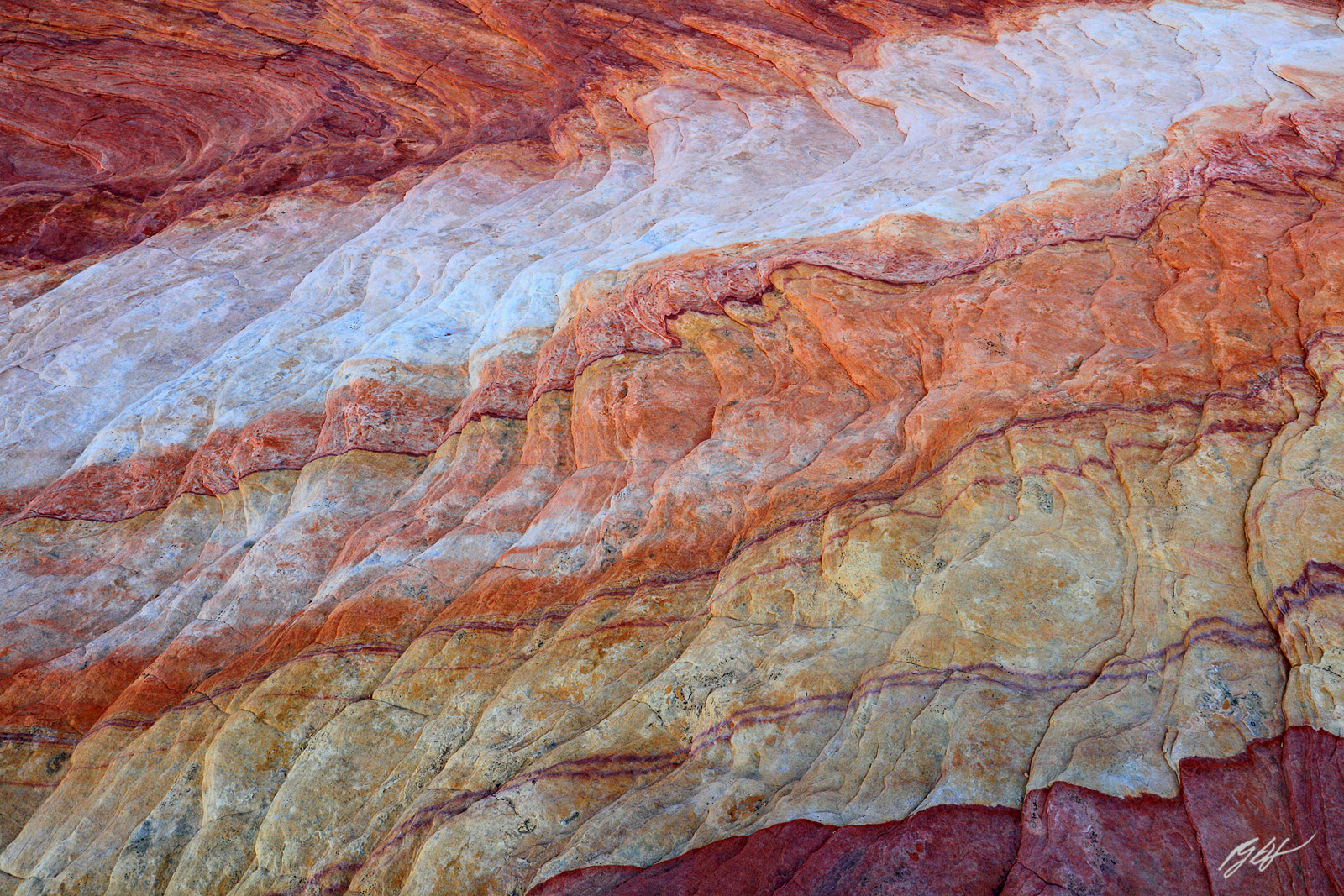 Colorful Sandstone Swirl in Valley of Fire State Park in Nevada