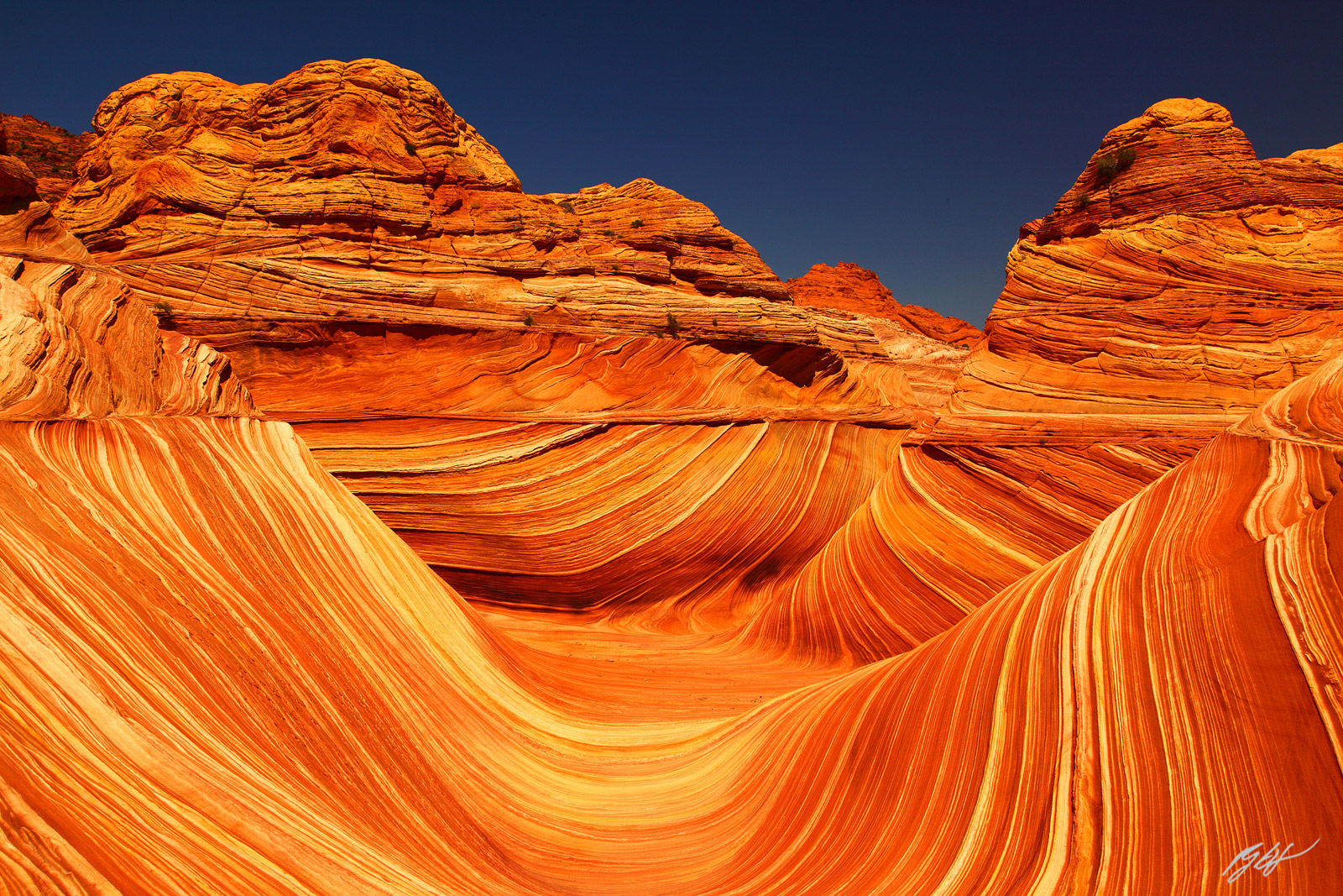 The Wave in Coyote Buttes North in the Vermillion Cliffs Wilderness in Arizona