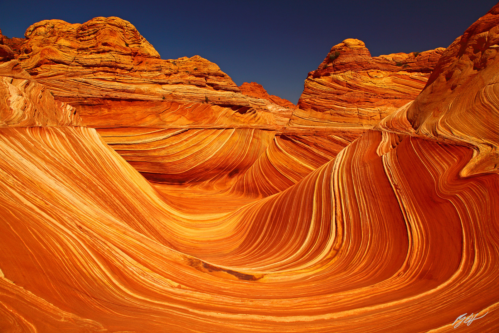 The Wave in Coyote Buttes North in the Vermillion Cliffs Wilderness in Arizona