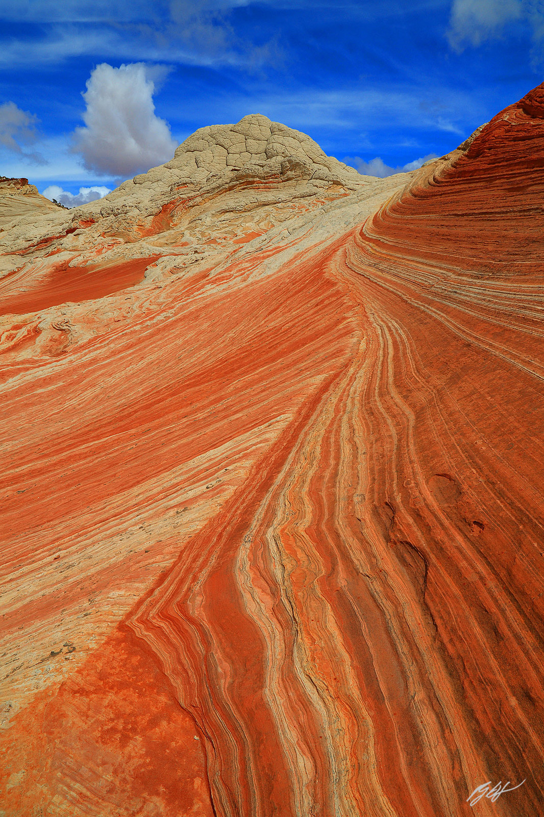 Sandstone Swirl in the White Pocket formation in the Vermillion Cliffs Wilderness in Arizona