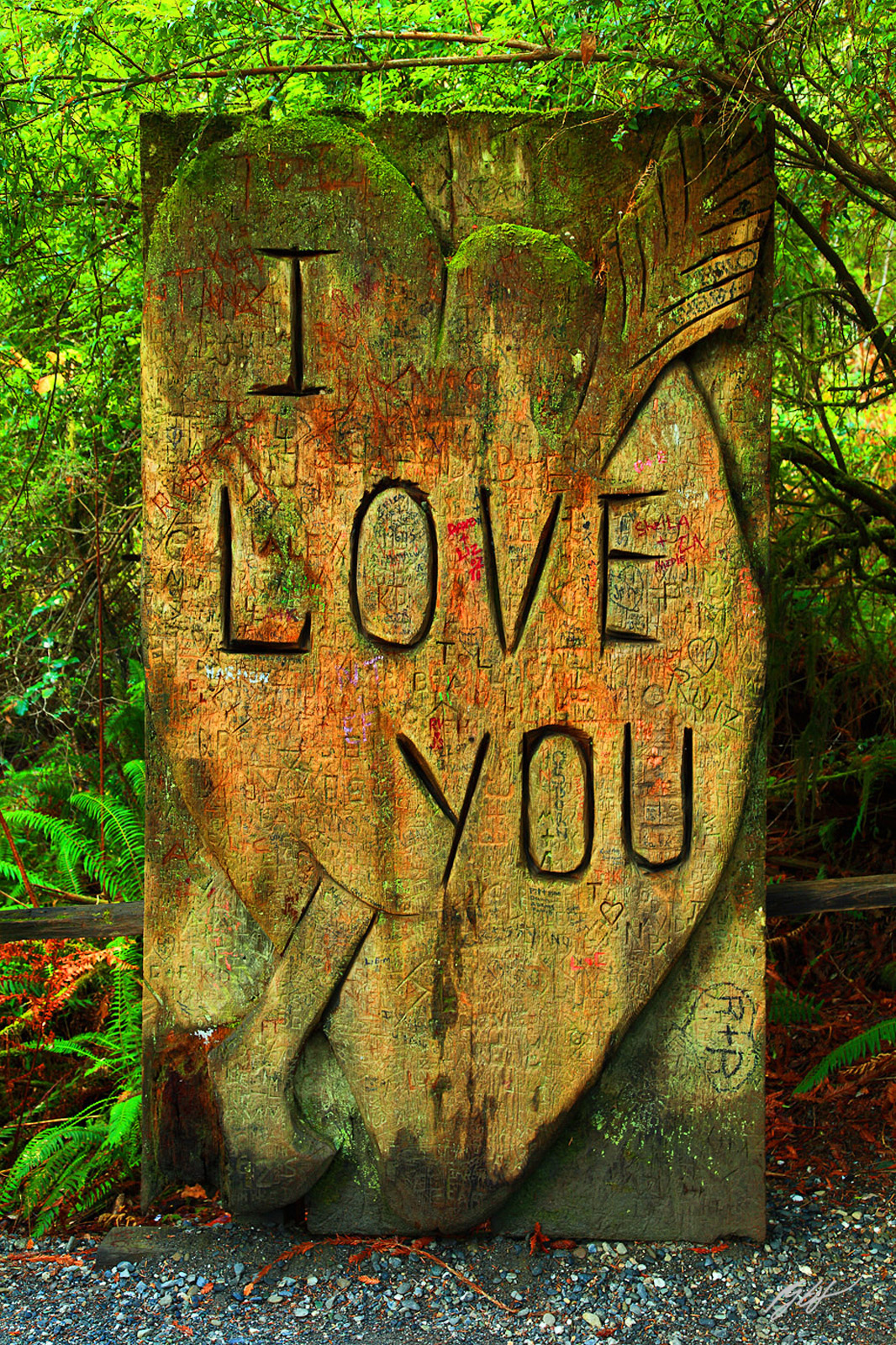 I love You Giant Chainsaw Carving in the Trees of Mystery in the Redwoods in California