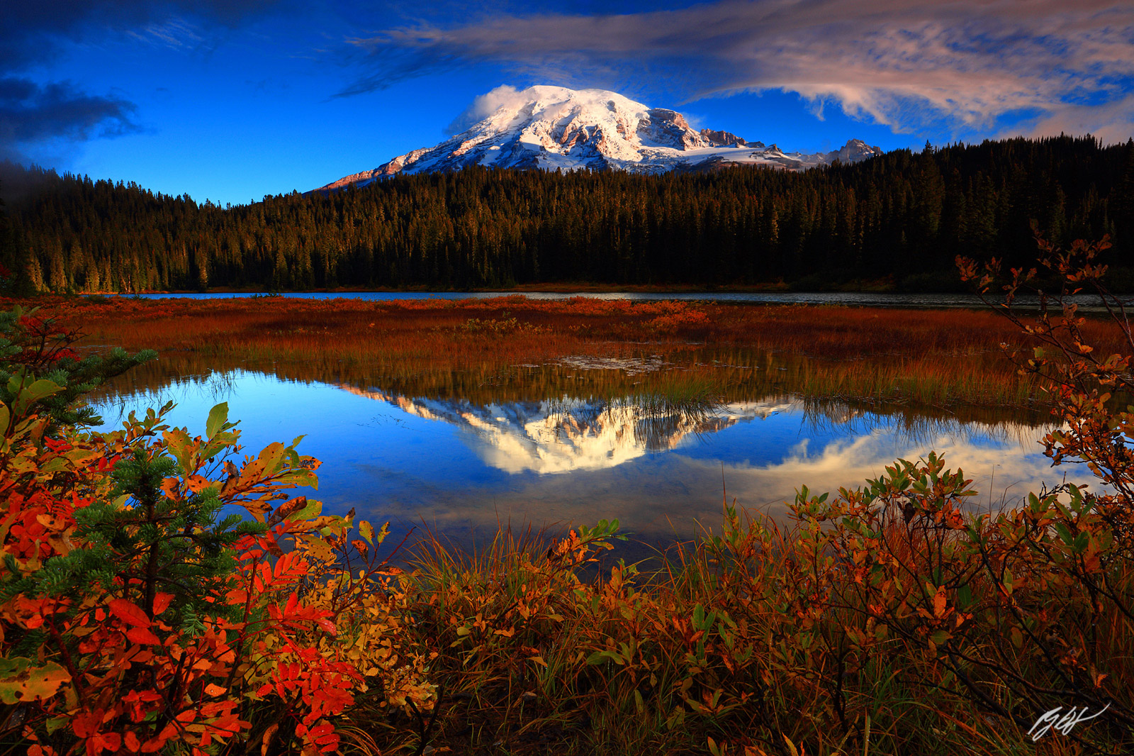 Fall Color and Mt Rainier Reflected in Reflection Lakes in Mt Rainier National Park in Washington