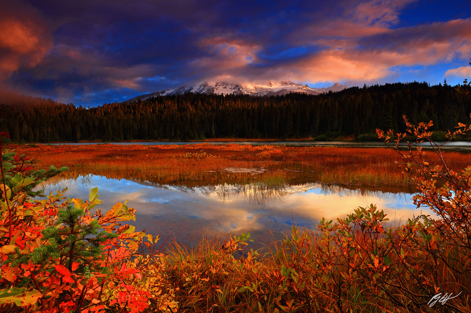 Fall Color and Mt Rainier Reflected in Reflection Lakes in Mt Rainier National Park in Washington