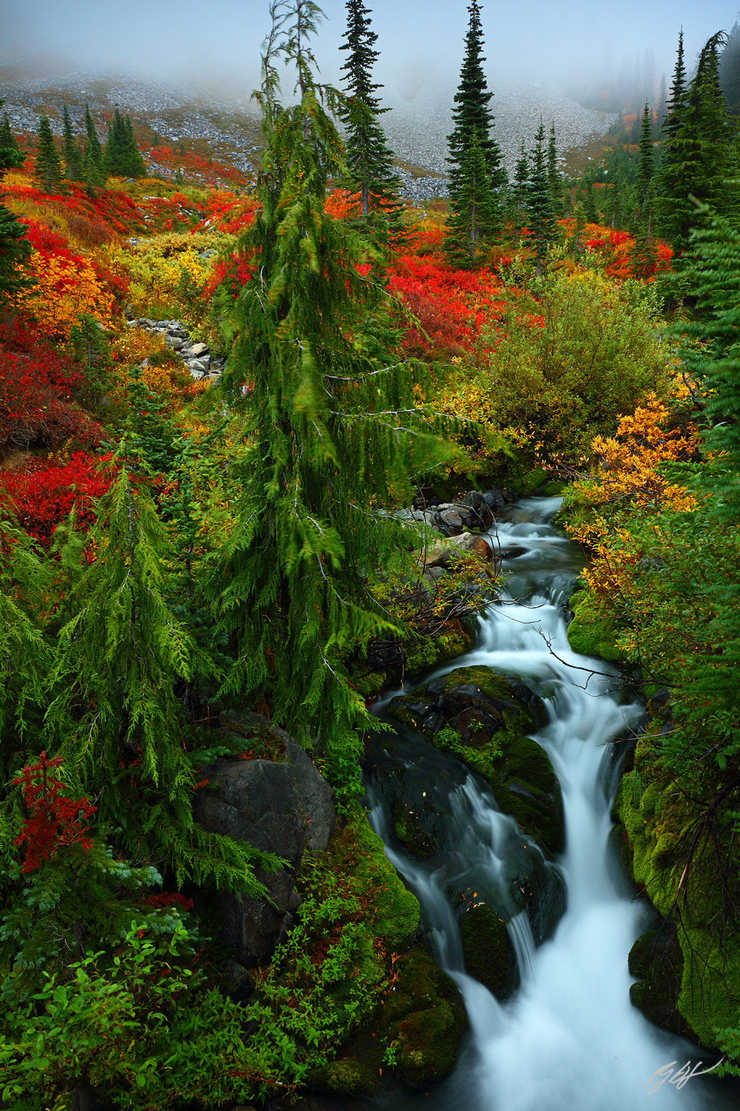 Paradise Creek in Fall in Mt Rainier National Park in Washington